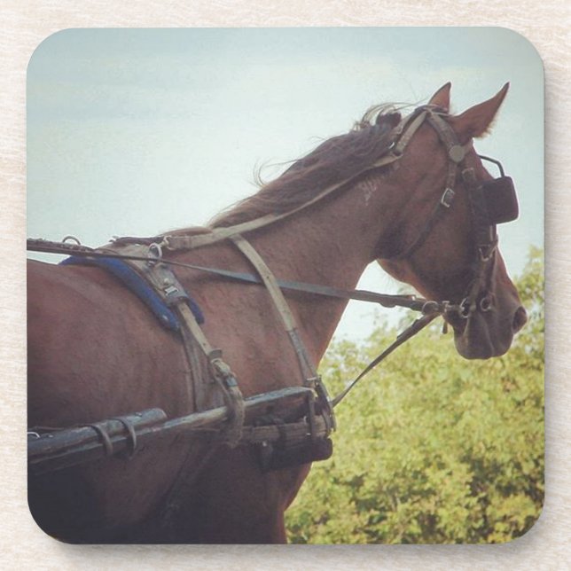 Dessous-de-verre Transport par cheval (Devant)