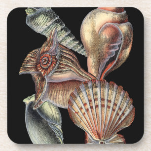 Dessous-de-verre Trésors de la mer