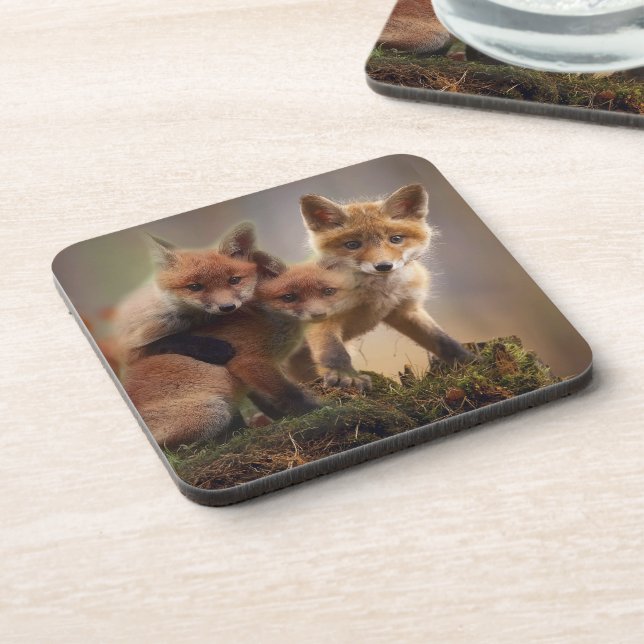 Dessous-de-verre Triplets Foxy (Côté gauche)