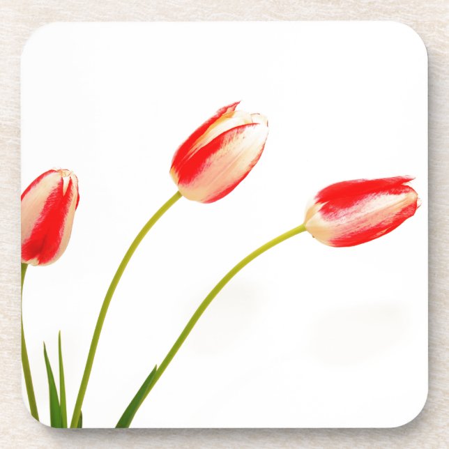 Dessous-de-verre Trois Tulipes sur blanc (Devant)