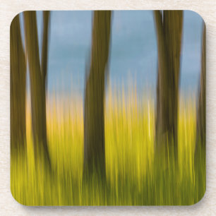 Dessous-de-verre Troncs d'arbres et herbe San Juan Islands, WA