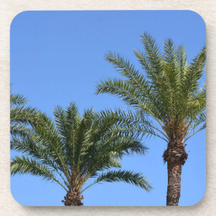 Dessous-de-verre Trop de palmiers contre le ciel bleu