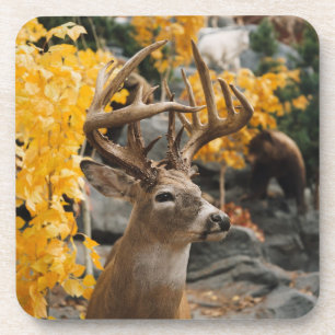 Dessous-de-verre Trophy Deer