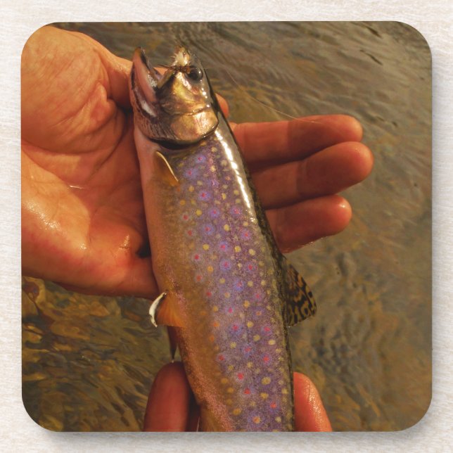 Dessous-de-verre Trout à Hands (Devant)