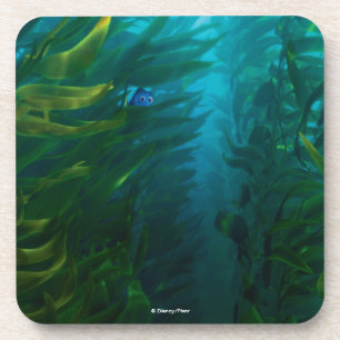 Dessous-de-verre Trouver Dory   Cacher et rechercher - Kelp de mer