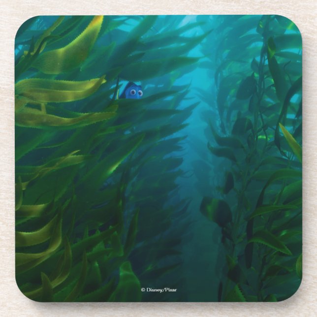 Dessous-de-verre Trouver Dory | Cacher et rechercher - Kelp de mer (Devant)