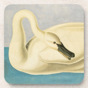 Dessous-de-verre Trumpeter Swan by John James Audubon, Vintage Bird