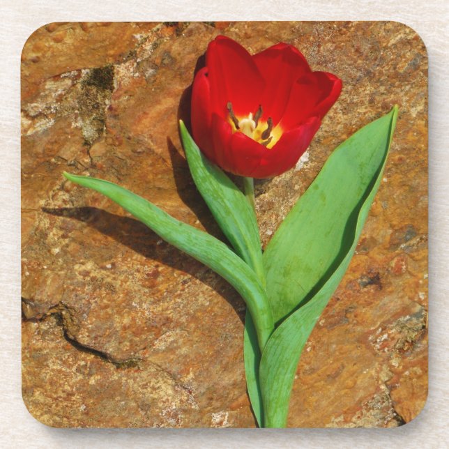 Dessous-de-verre Tulipe jaune et rouge (Devant)