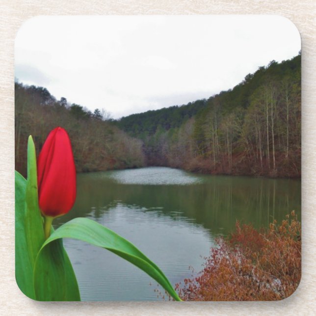 Dessous-de-verre Tulipe rouge printanière au lac Arrowhead (Devant)