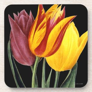 Dessous-de-verre Tulipe (Tulipa Gesneriana)