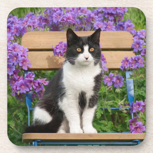 Dessous-de-verre Tuxedo cat sitting on a garchair with flowers (Devant)