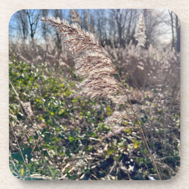 Dessous-de-verre Un bonheur d'automne... (Devant)