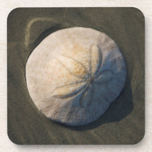 Dessous-de-verre Un dollar de sable sur la plage