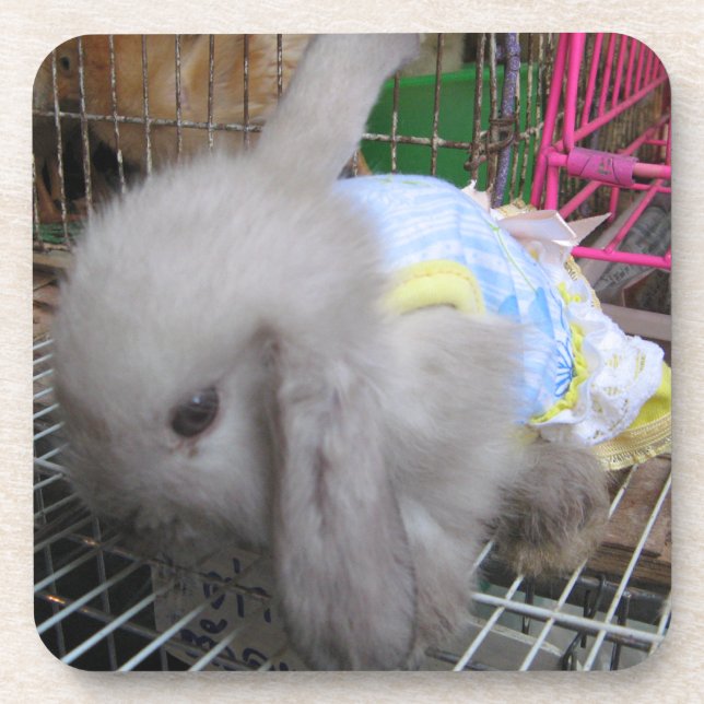 Dessous-de-verre Un lapin en robe (Devant)
