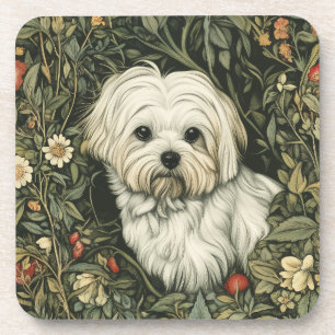 Dessous-de-verre Un mignon chien maltais dans un jardin à la Willia