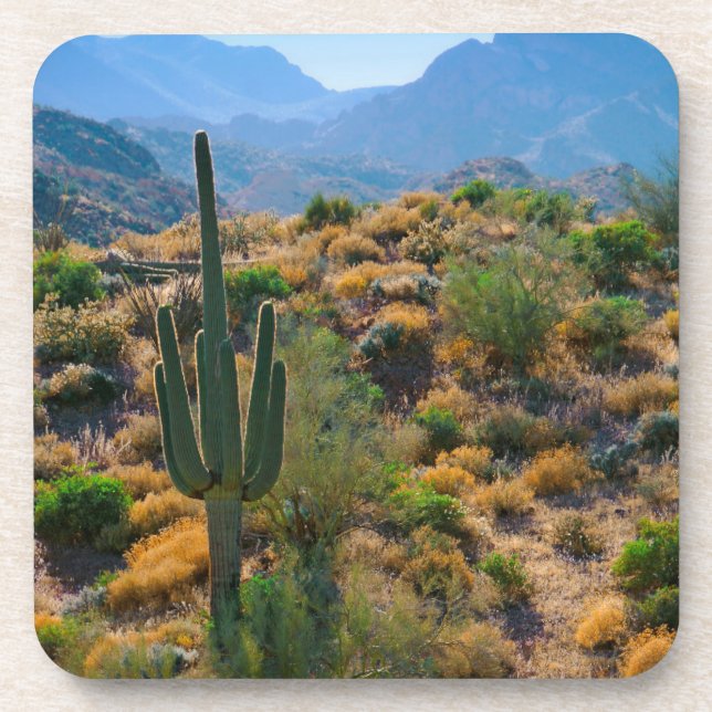 Dessous-de-verre USA, Arizona. Vue du désert (Devant)