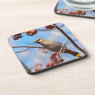 Dessous-de-verre Vélin de Bohême, oiseau canadien majestueux