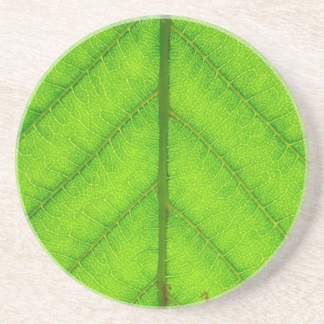 Dessous de verre verts de feuille (Devant)