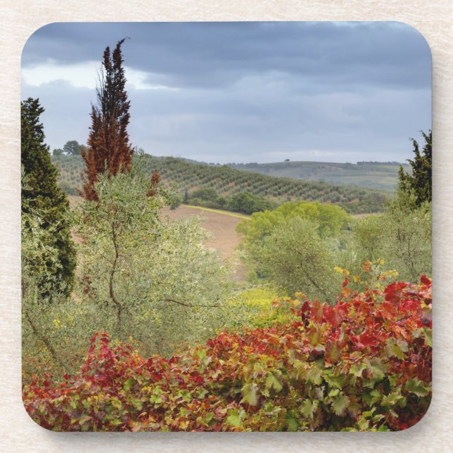 Dessous-de-verre Vignoble près de Montalcino, Toscane, Italie (Devant)