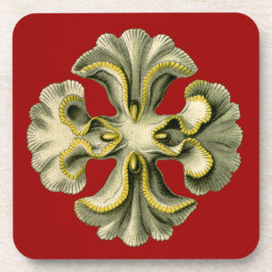 Dessous-de-verre Vintage Haeckel