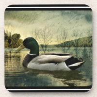 Vintage Mallard Duck Patiné Carte postale Boisson 