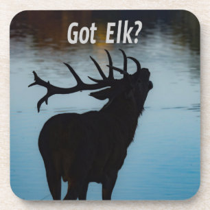 Dessous-de-verre Vous avez Elk ? Funny Hunter Humour