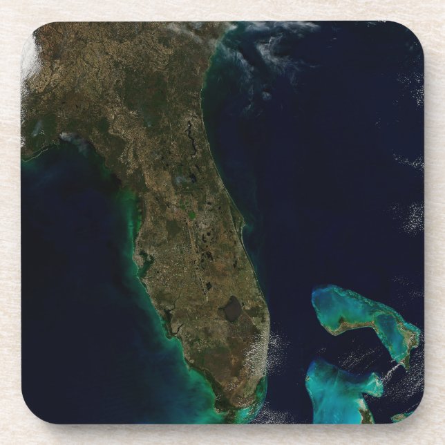 Dessous-de-verre Vue Satellite Sur La Floride. (Devant)