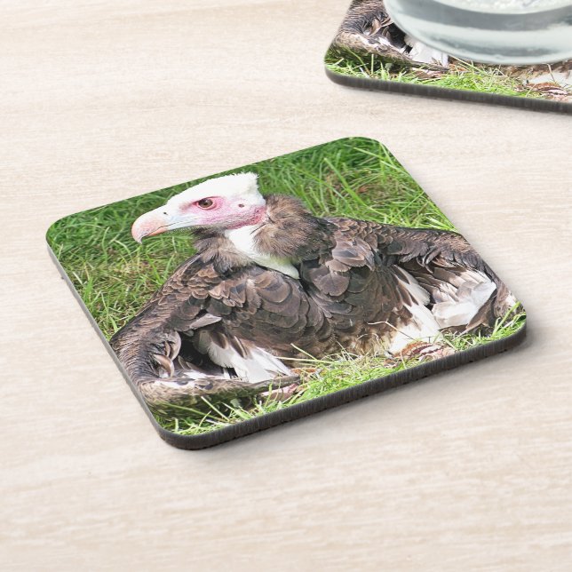 DESSOUS-DE-VERRE VULTURE (Côté gauche)