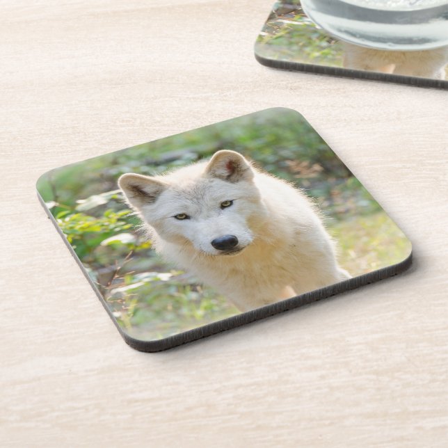 Dessous-de-verre Wolf Animal Art, faune canadienne (Côté gauche)