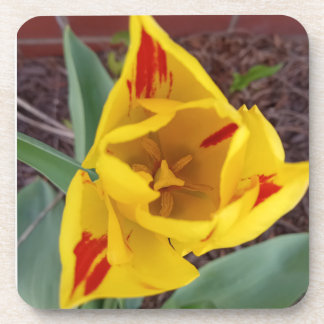 Dessous-de-verre Yellow Tulip Coster
