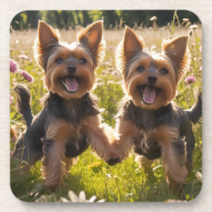 Dessous-de-verre Yorkshire Terriers Jouer dans l'herbe