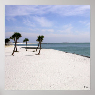 Destin Beauty, S Cyr Poster