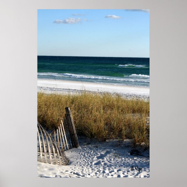 Destin Dreaming Poster, S Cyr Poster (Front)