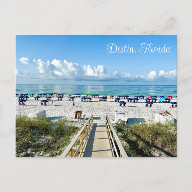 Destin Florida Pretty Beach Umbrellas Photography Postcard (Front)