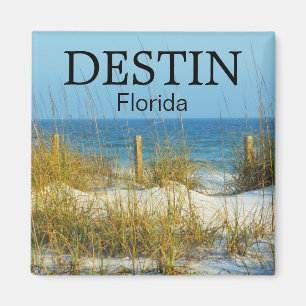 Destin Floride plage d'avoine de mer aimant