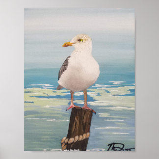 Destin Seagull Poster