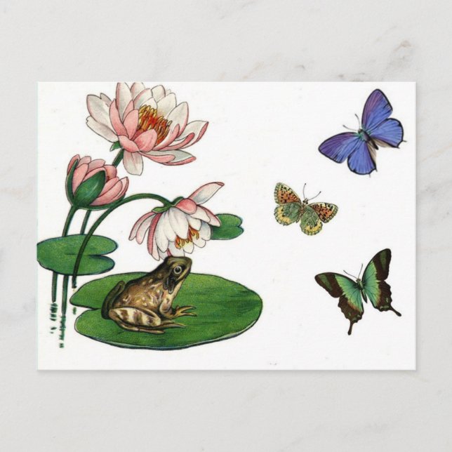Destiny Blossoms Thinking of You Floral Butterfly Postcard (Front)