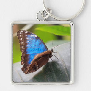 Destiny Gifts Keychain