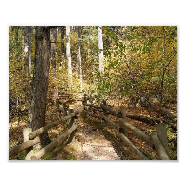 Destiny Impression photographique 10x8 (Devant)