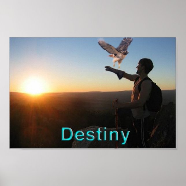 Destiny Poster (Front)