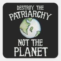 Destroy the Patriarchy not the planet shirt