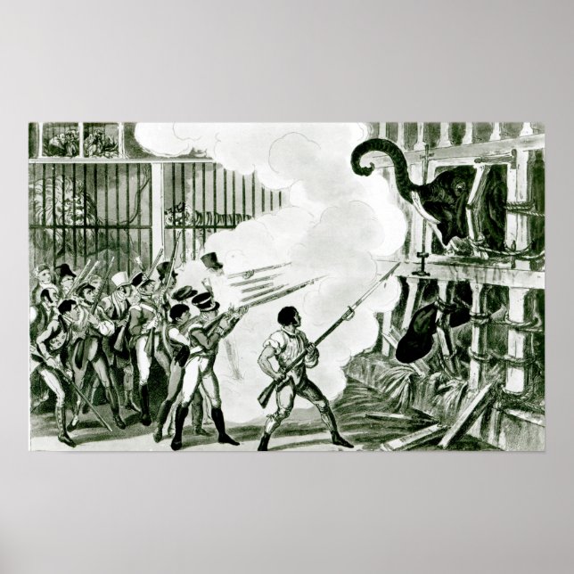 Destruction of the Furious Elephant at Exeter Poster (Front)