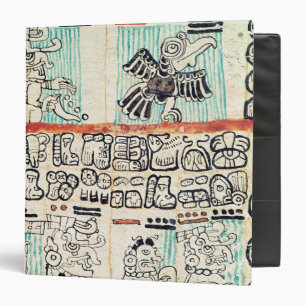 Detail from a Mayan codex Binder