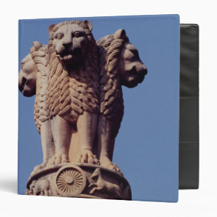 Detail from an Ashoka Pillar Binder