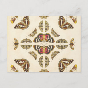 Detail from Plate VI Postcard