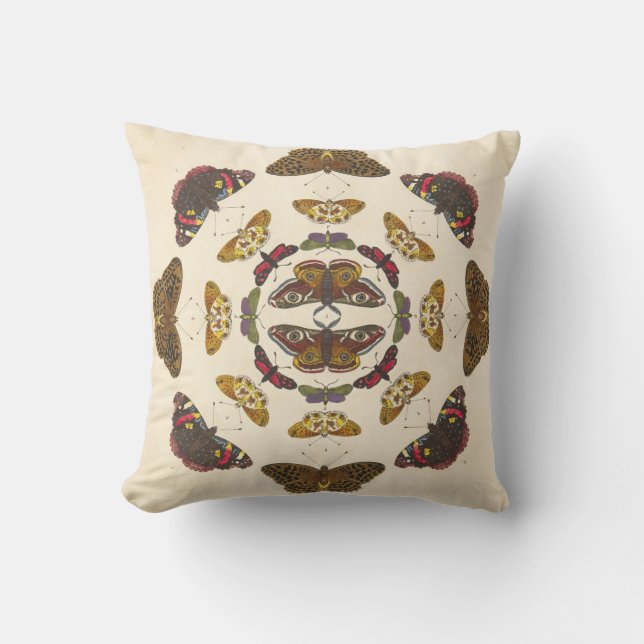 Detail from Plate VII Throw Pillow (Front)