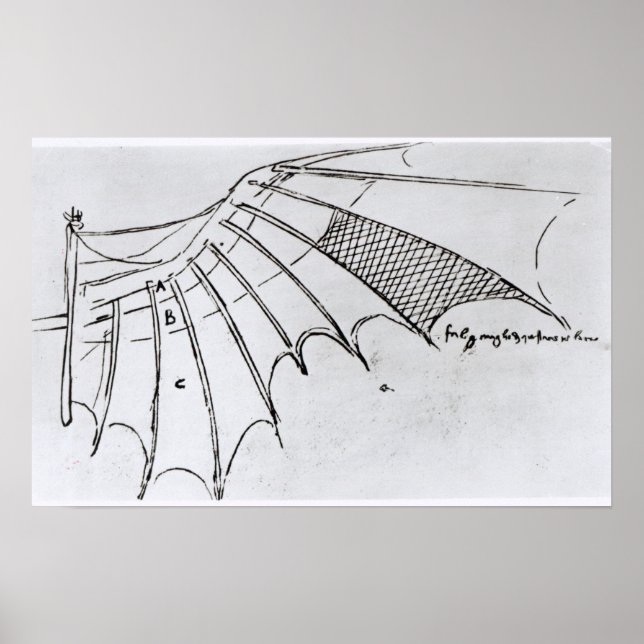 Detail of a mechanical wing poster (Front)