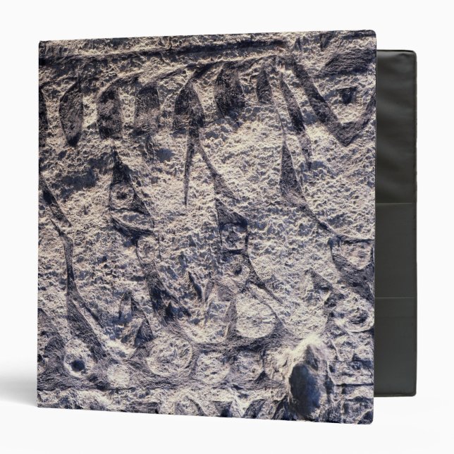 Detail of a ritual procession binder (Front/Inside)