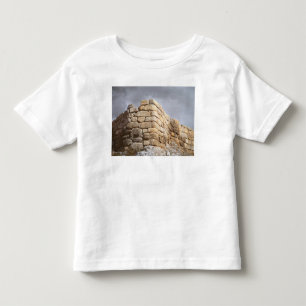Detail of a stone wall toddler t-shirt