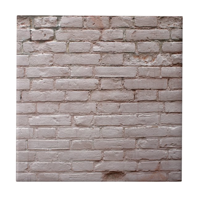 Detail of a wall of the old beige clay bricks tile (Front)